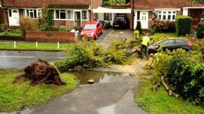 Emergency Tree Services