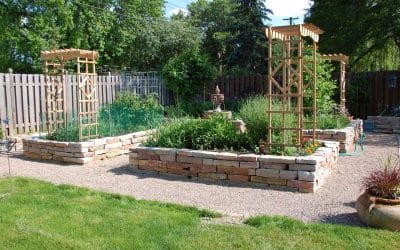 Creating a Low-Maintenance Landscape: What You Should Know?