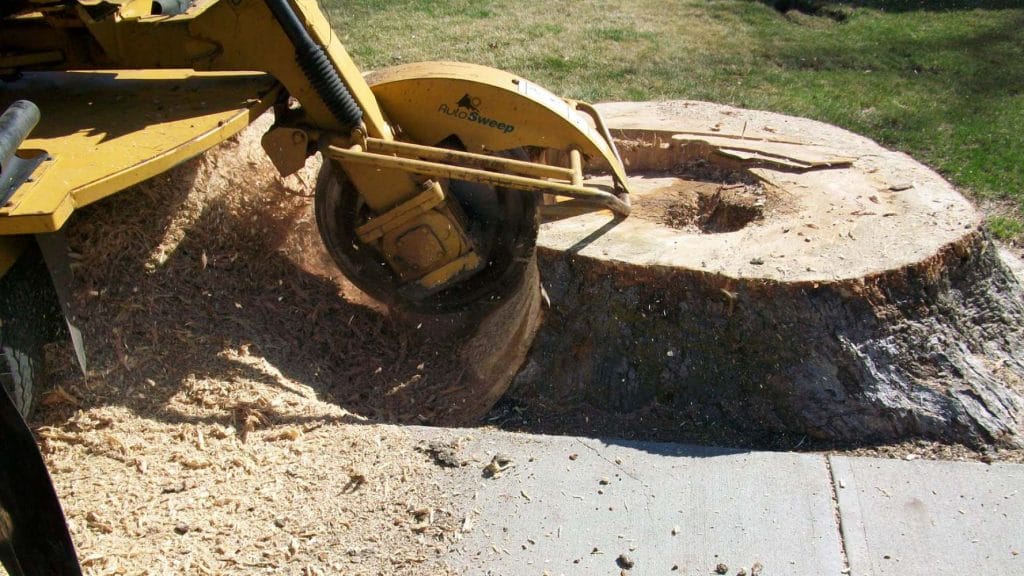stump grinding Guildford
