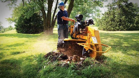 How Can a Professional Tree Surgeon Help You with Stump Grinding