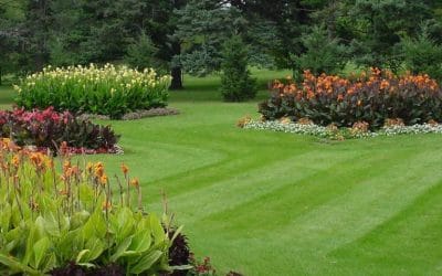 Different Types of Composite Decking- A Guide from Landscapers