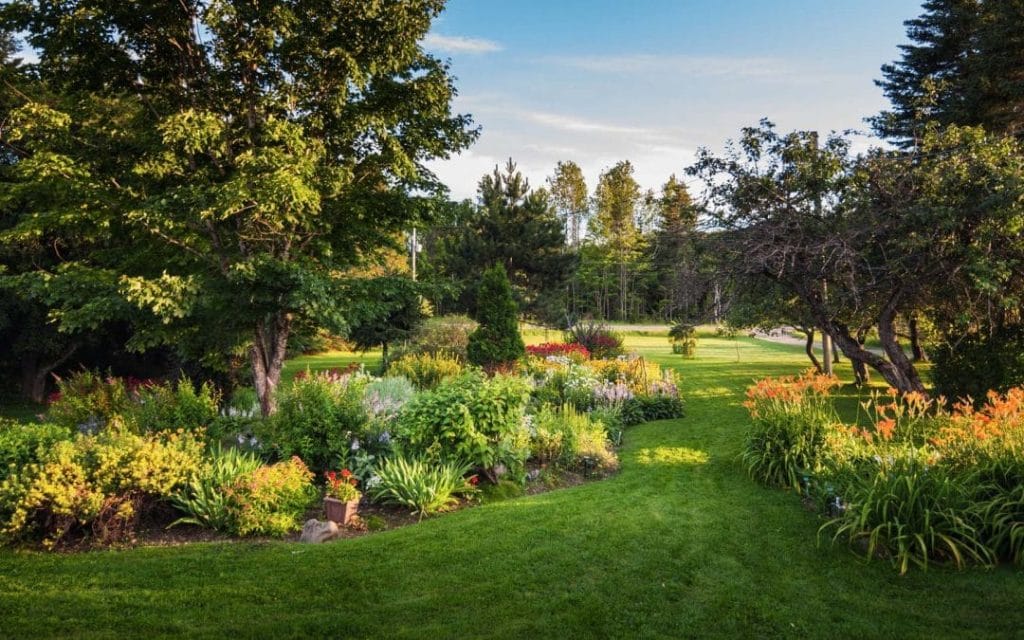 Gardening Landscaping