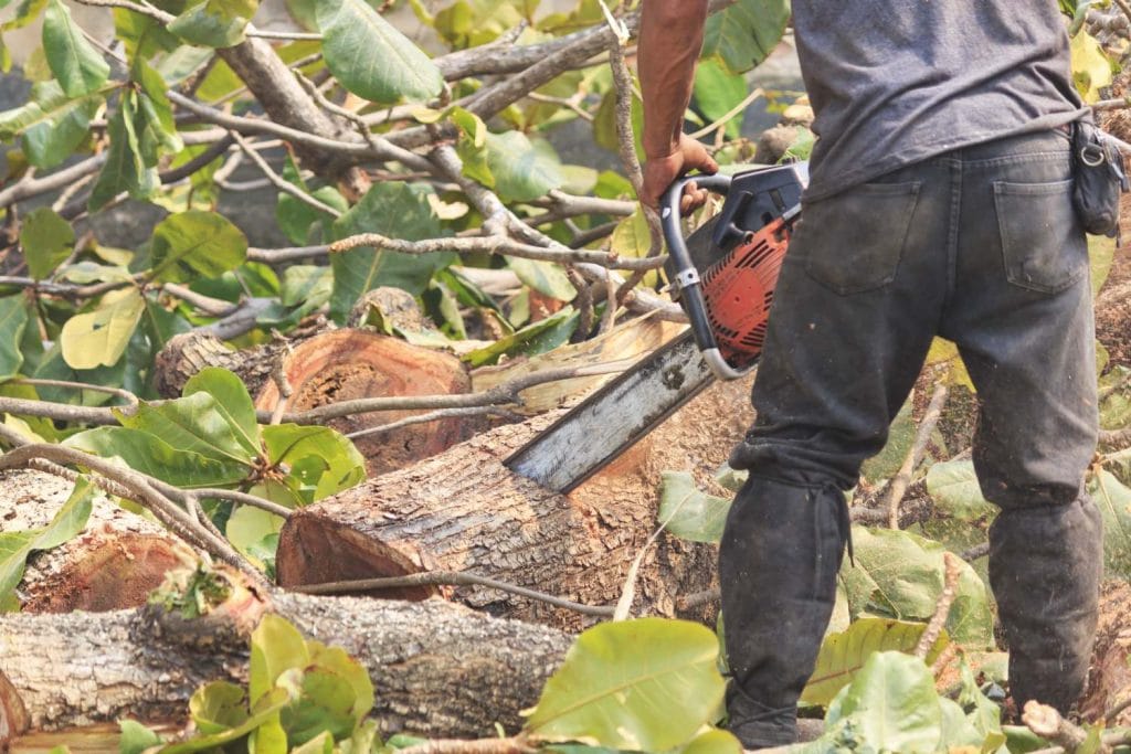 Home Garden Management