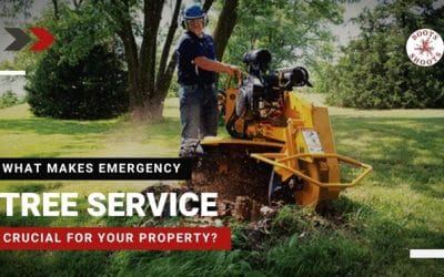 What Makes Emergency Tree Service Crucial for Your Property?