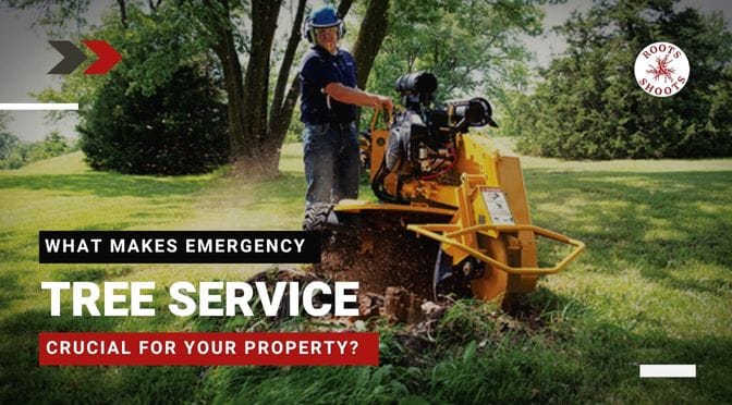 What Makes Emergency Tree Service Crucial for Your Property?
