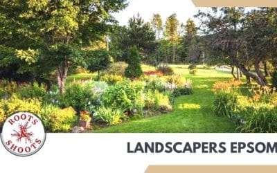 The importance of landscaping in commercial businesses