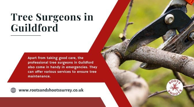 Few Emergency Services Provided by Tree Surgeons in Guildford
