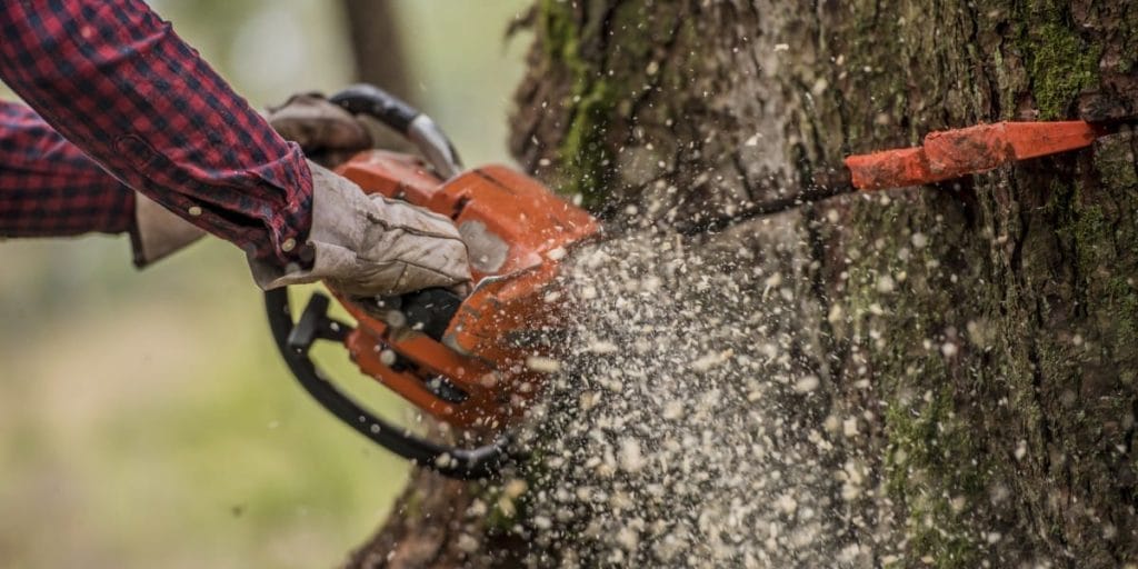 Tree surgery in Guildford
