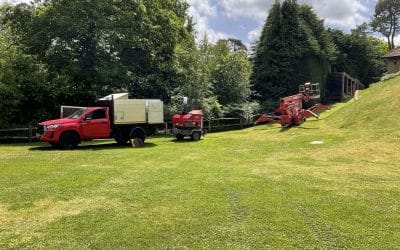 5 Essential Tips to Protect Young Trees Before Winter Sets In