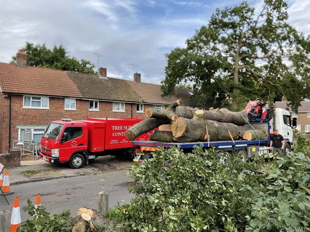 Tree Surgeons