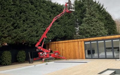 Crucial Factors that Determine the Final Price of Tree Surgery