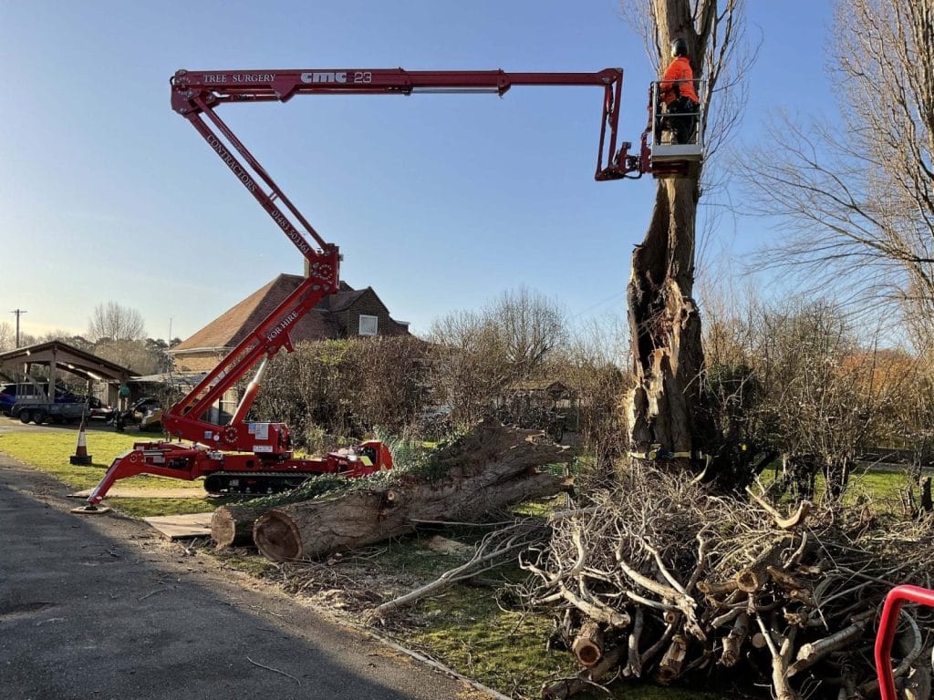 Professional Landscapers Epsom