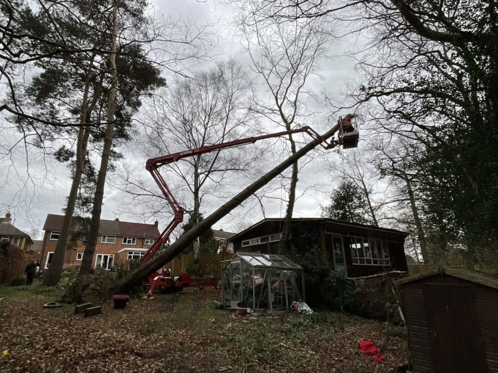 Modify The Lawn and Garden at Your Convenience