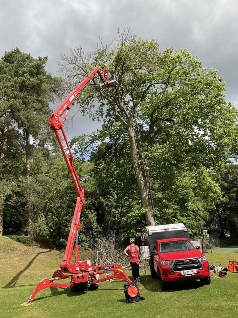 Trusted Landscapers Leatherhead