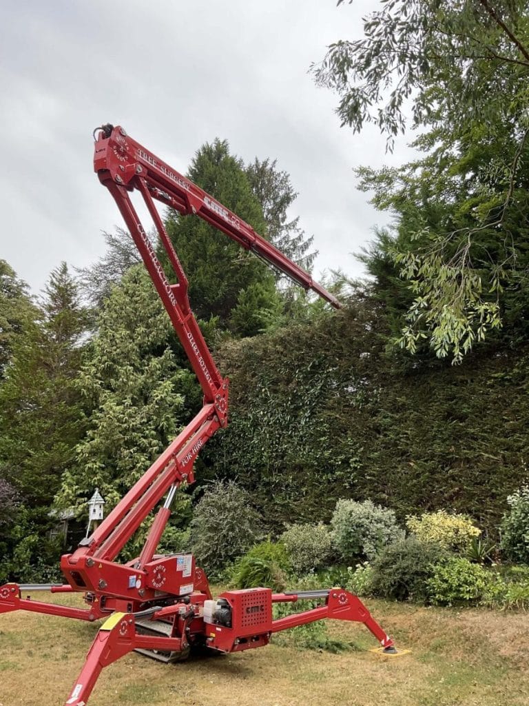 Transform Your Garden With landscapers