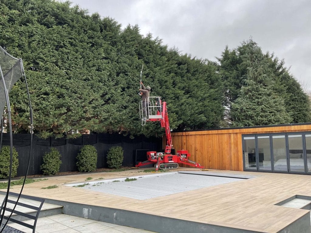 Expert Tree Surgeons Epsom