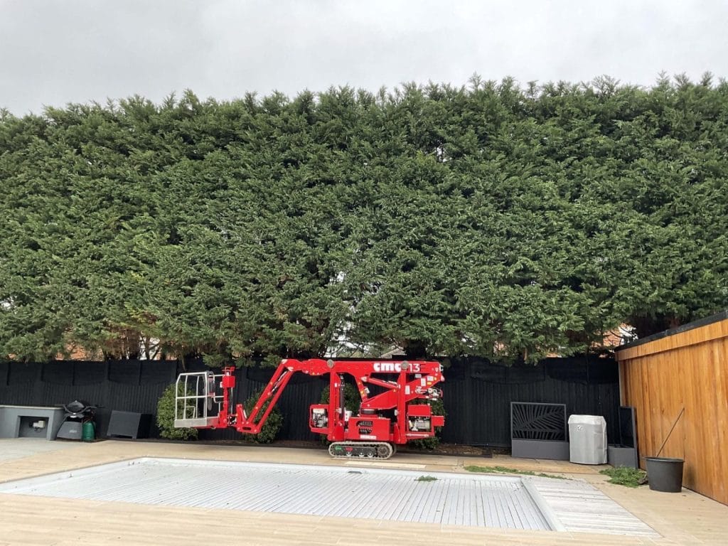 Exceptional Landscaping Service