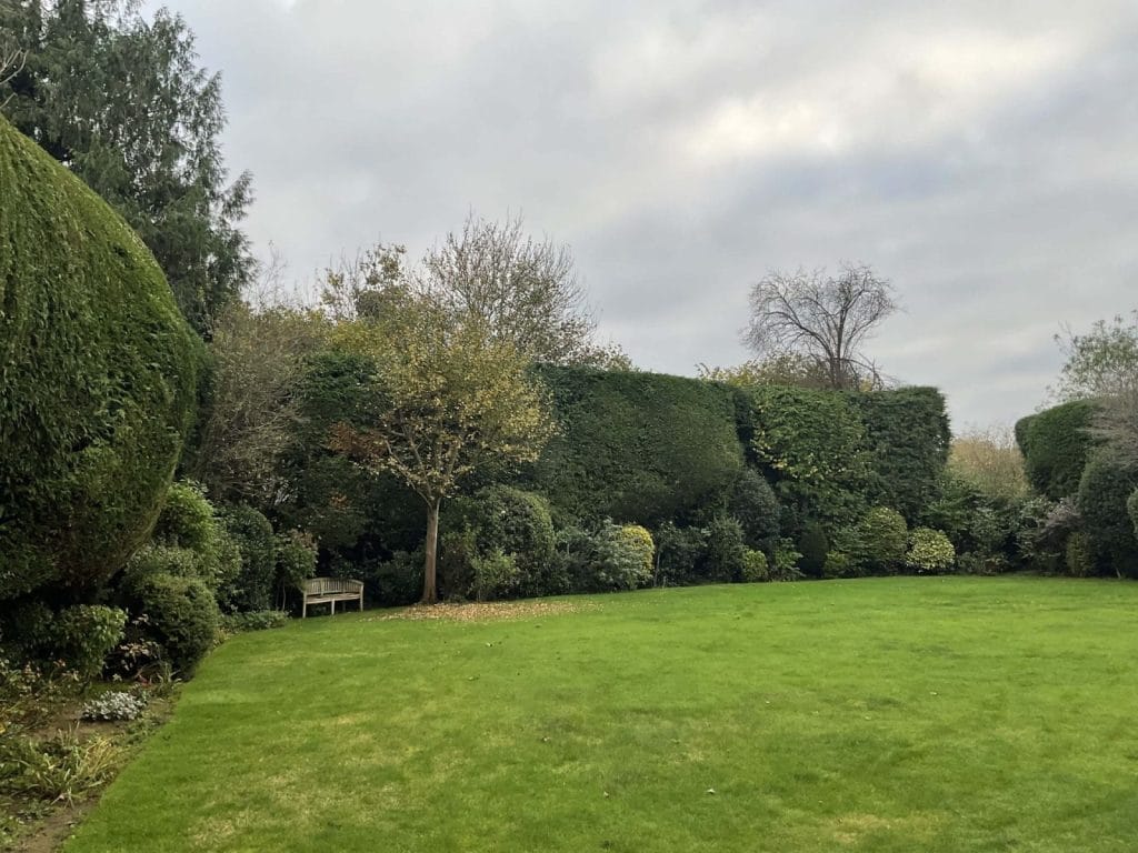 Landscaping Services