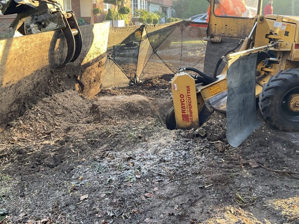 Tree Surgeons Woking