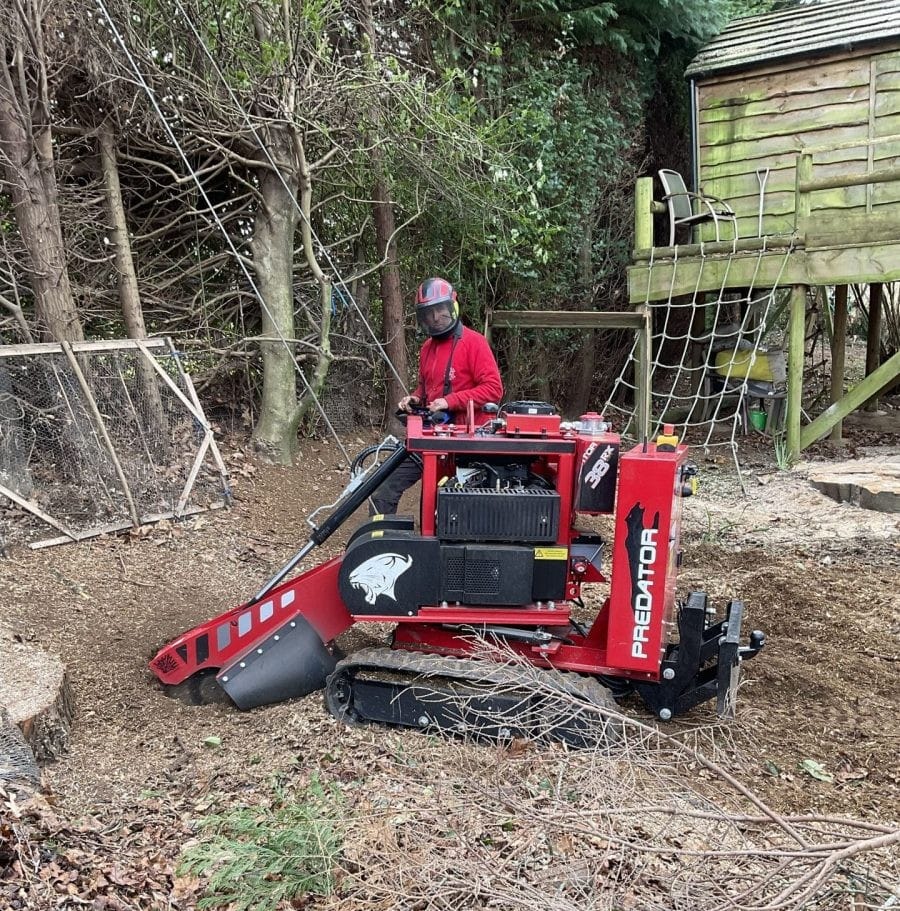 Experienced Tree Surgeons
