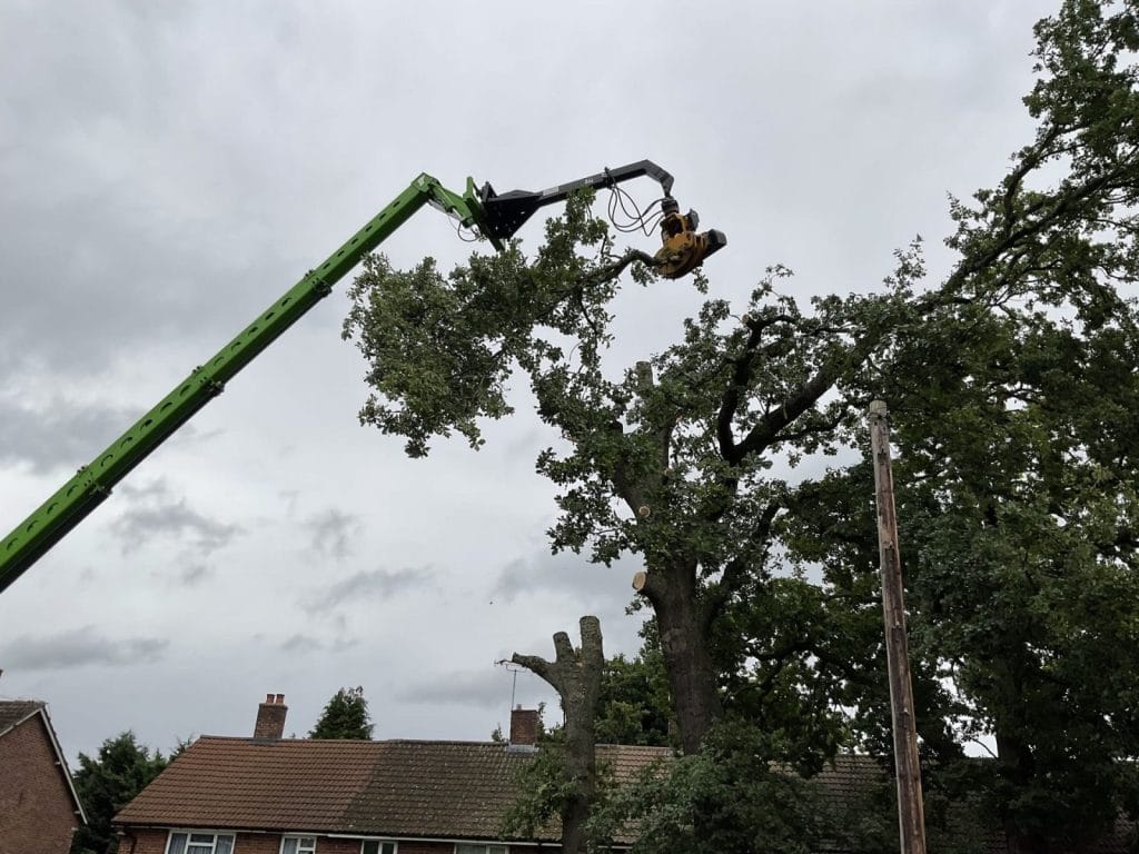 Tree Surgery Service